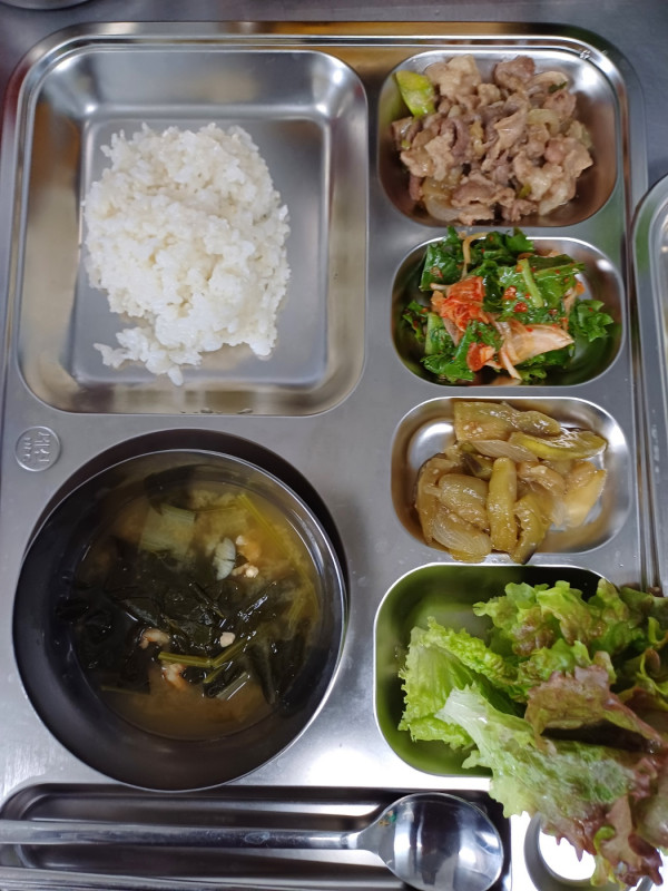 2ad17f5bc192da1a4f3c6de02b2a6fef_1715579